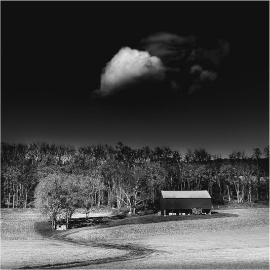 Black and white photograph of a hunting blind with barn in the distance—minimalist rural image evoking contrast, stillness, and quiet ambiguity.