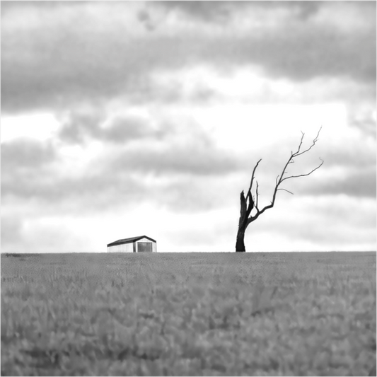 Black and white photograph of a windswept field with a distant barn—minimalist landscape inviting quiet reflection and visual clarity.