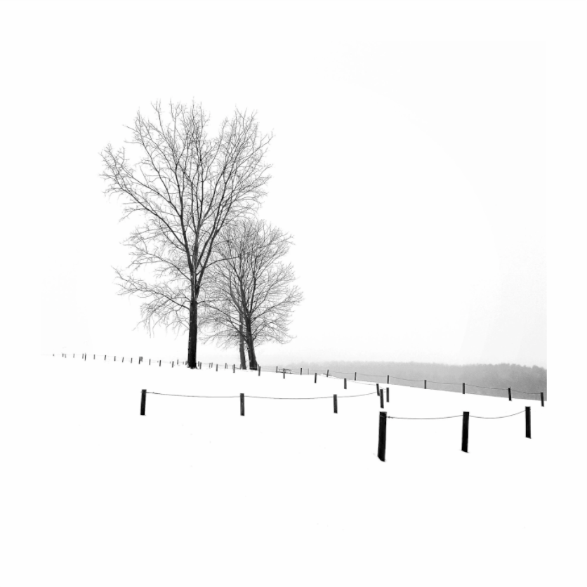 Black and white photograph of three bare trees in snow—minimalist winter scene emphasizing symmetry, space, and contemplative calm.