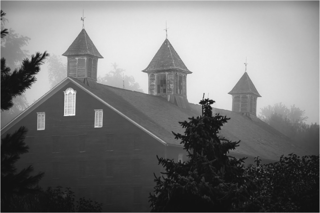 Black and white minimalist photograph of two groups of trees—symmetrical yet open, suggesting rhythm, isolation, and balance.
