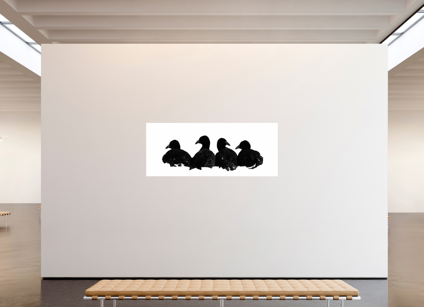 Coot Quartet