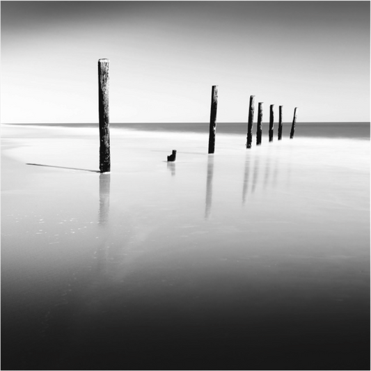 Black and white photograph of weather-worn pilings in smooth water—minimalist seascape reflecting erosion, stillness, and quiet passage.
