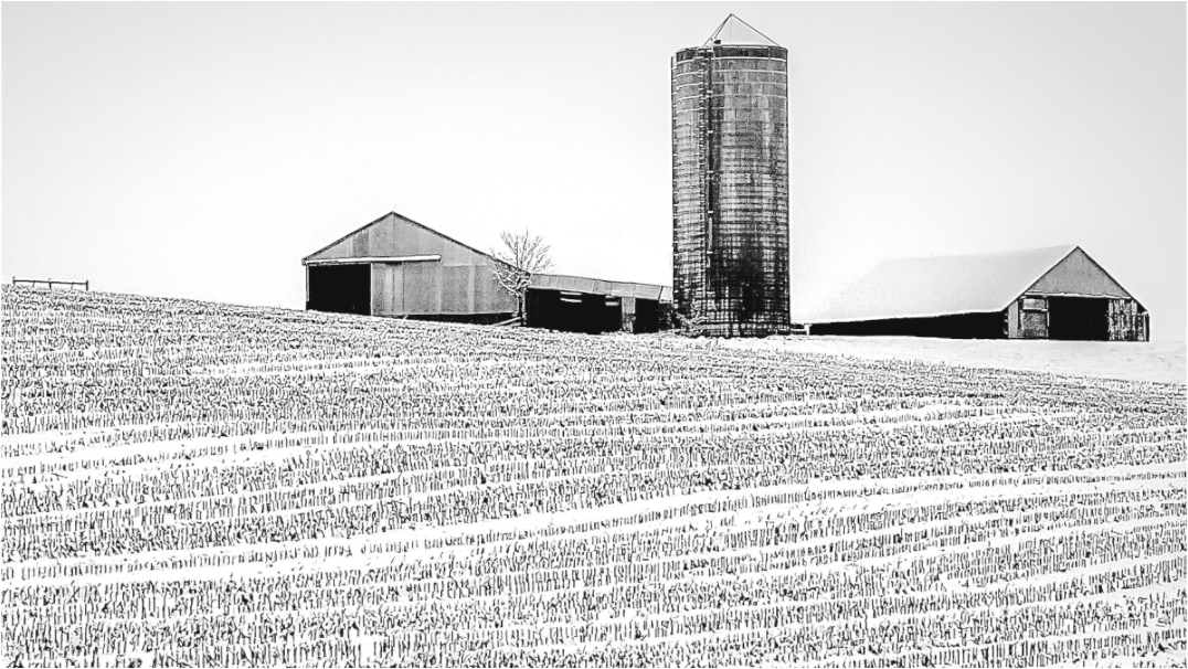Black and white minimalist photograph featuring a distant barn and rhythmic landscape lines—an abstract interpretation of rural geometry and stillness.
