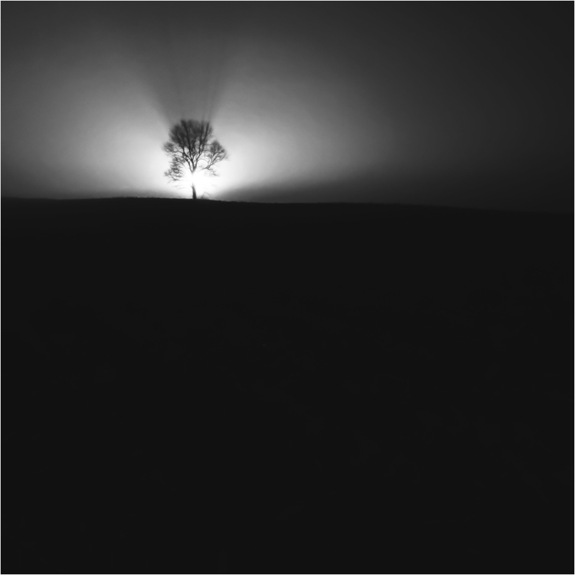 Black and white photograph of early morning light across open land—soft contrast and minimal detail evoke a sense of quiet emergence.
