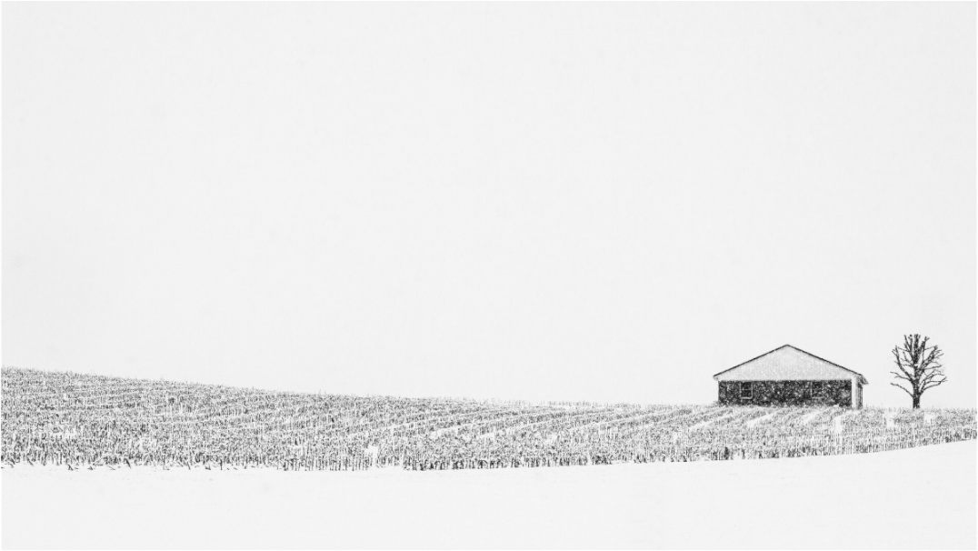 Monochrome fine art photograph of a rural landscape—strong horizon line and minimal architecture creating a sense of order, quiet, and space.
