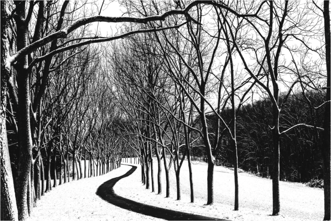 Black and white photograph of deep tractor tracks in a snowy field—minimalist rural image evoking effort, presence, and seasonal tension.
