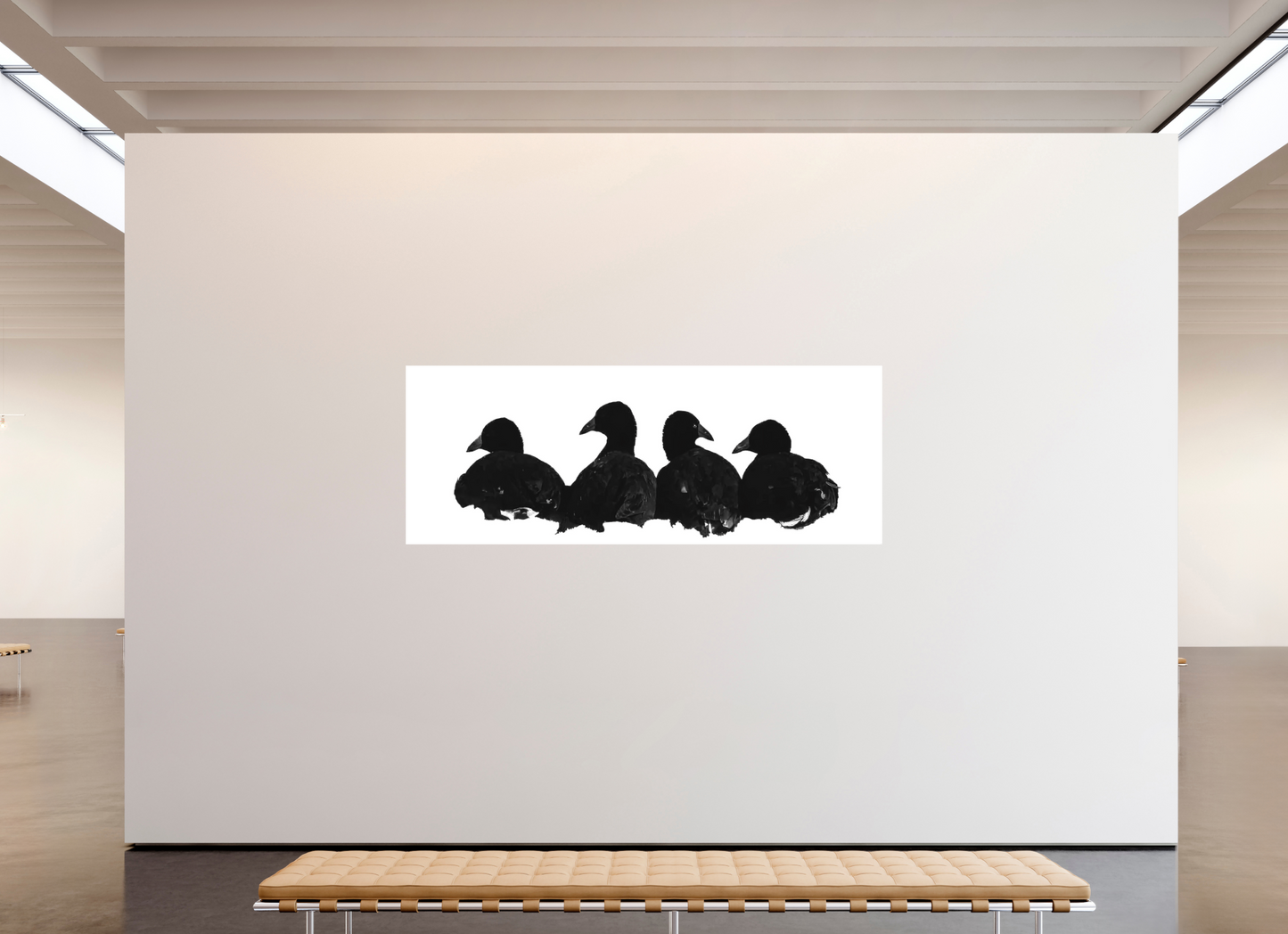 Coot Quartet