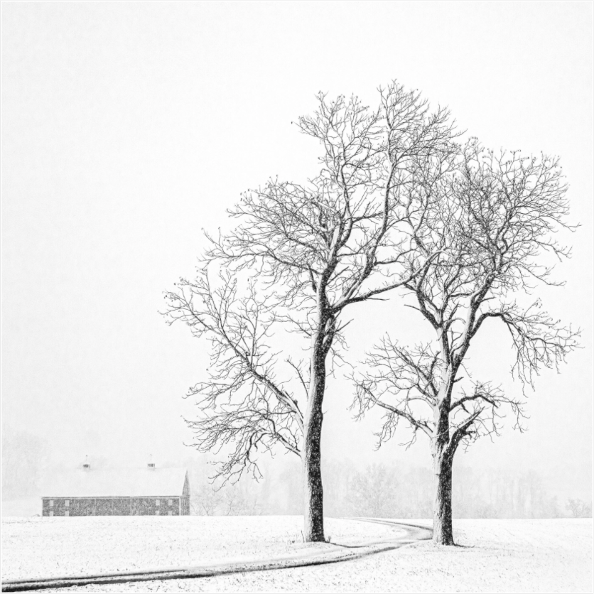 Black and white photograph of two bare trees and a distant barn in snow—minimalist rural landscape evoking symmetry, isolation, and calm.
