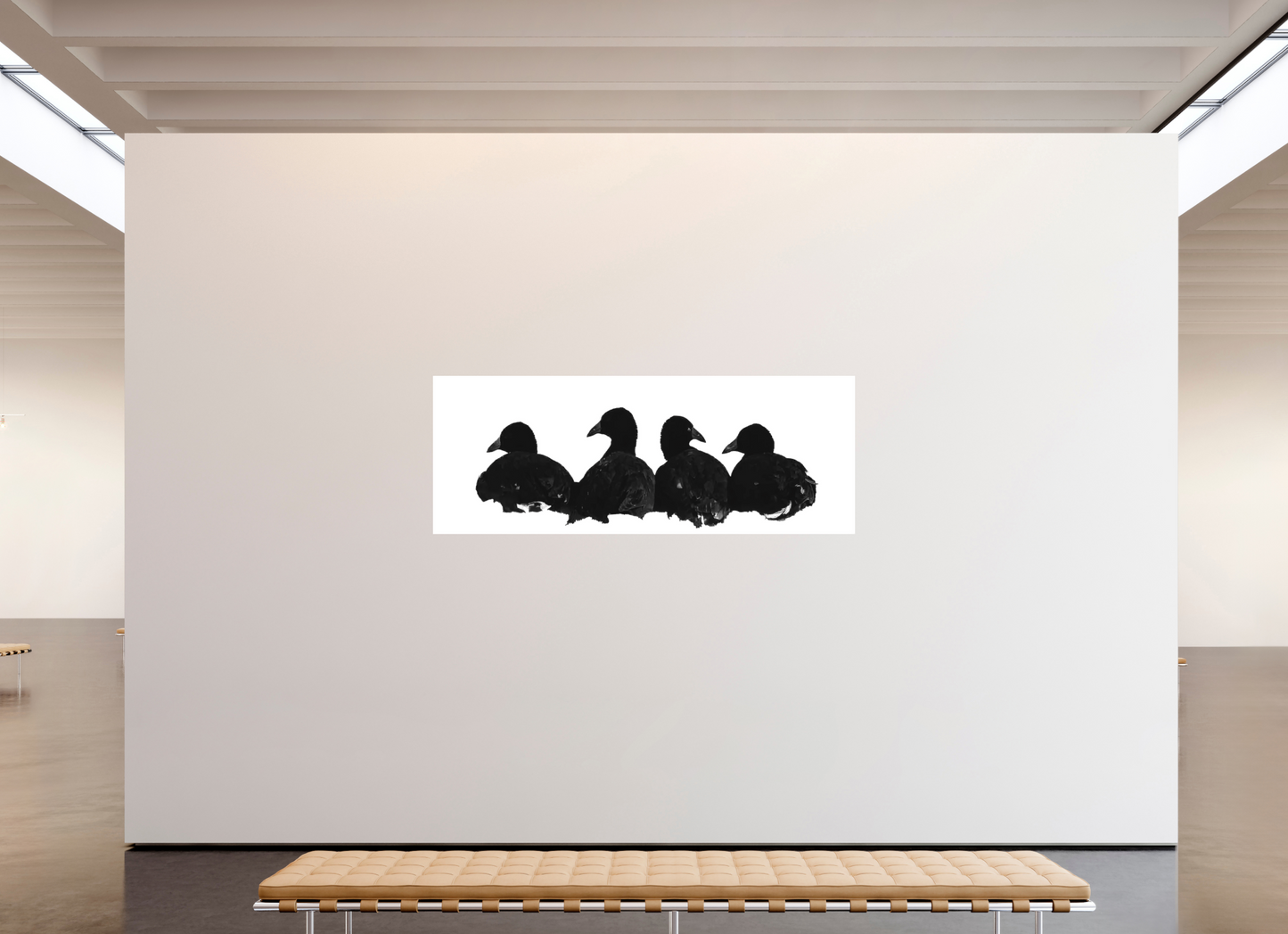 Coot Quartet
