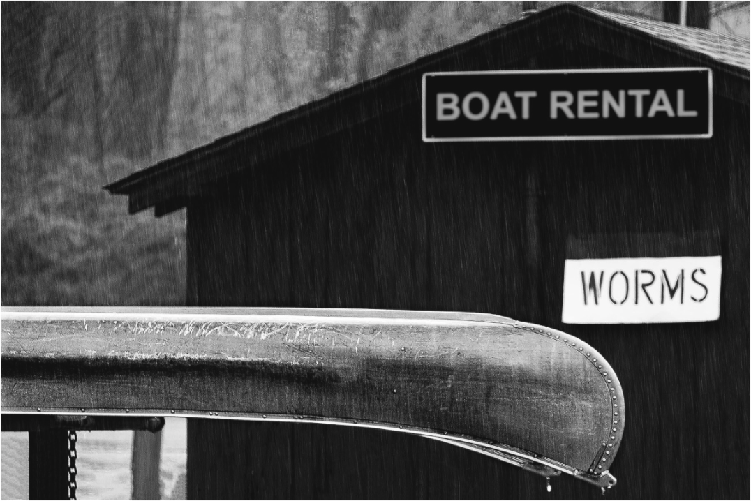 Black and white photograph of docked rental boats—minimalist composition emphasizing shape, line, and the quiet order of repetition.
