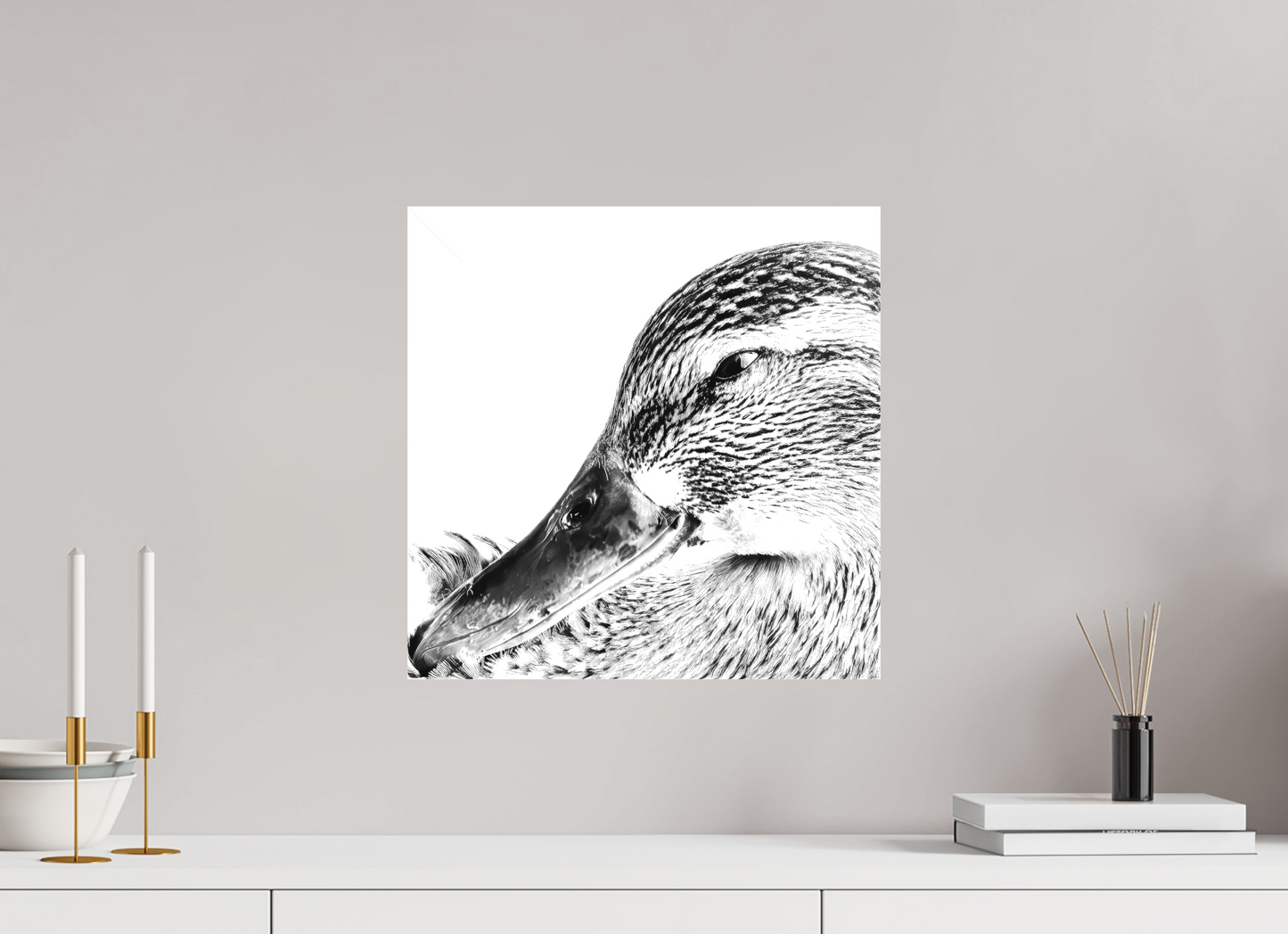 Duck