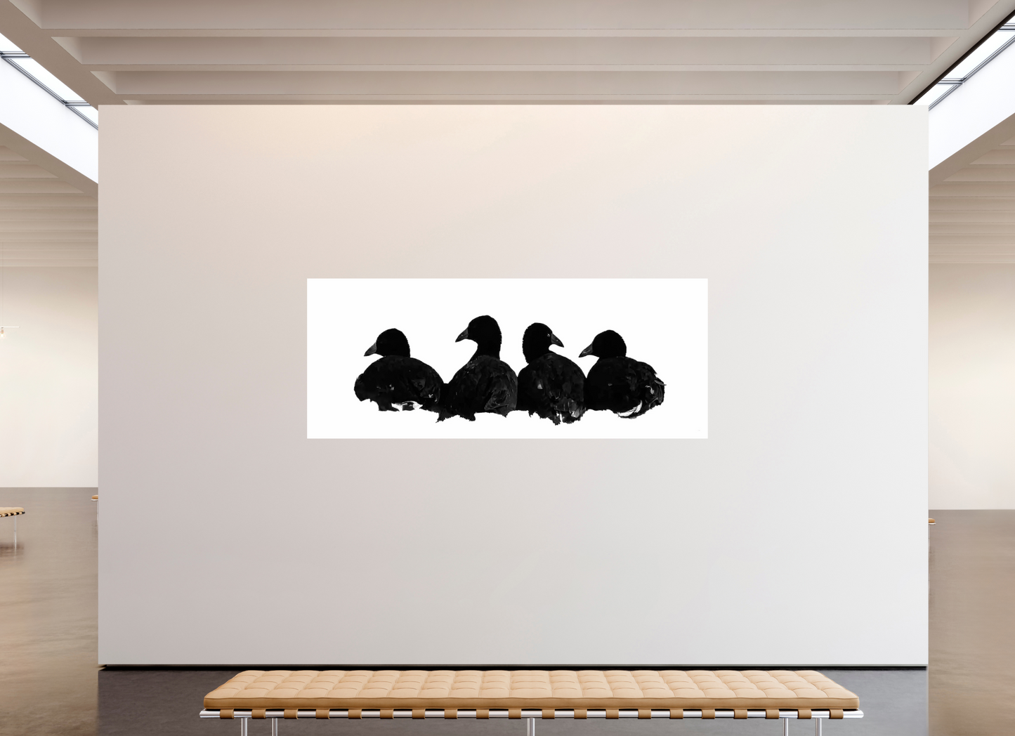 Coot Quartet