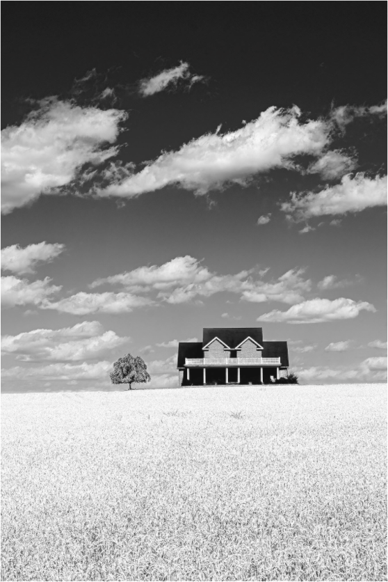 Black and white photograph of a minimalist farm scene—subtle light, quiet structure, and negative space evoke balance and meditative calm.
