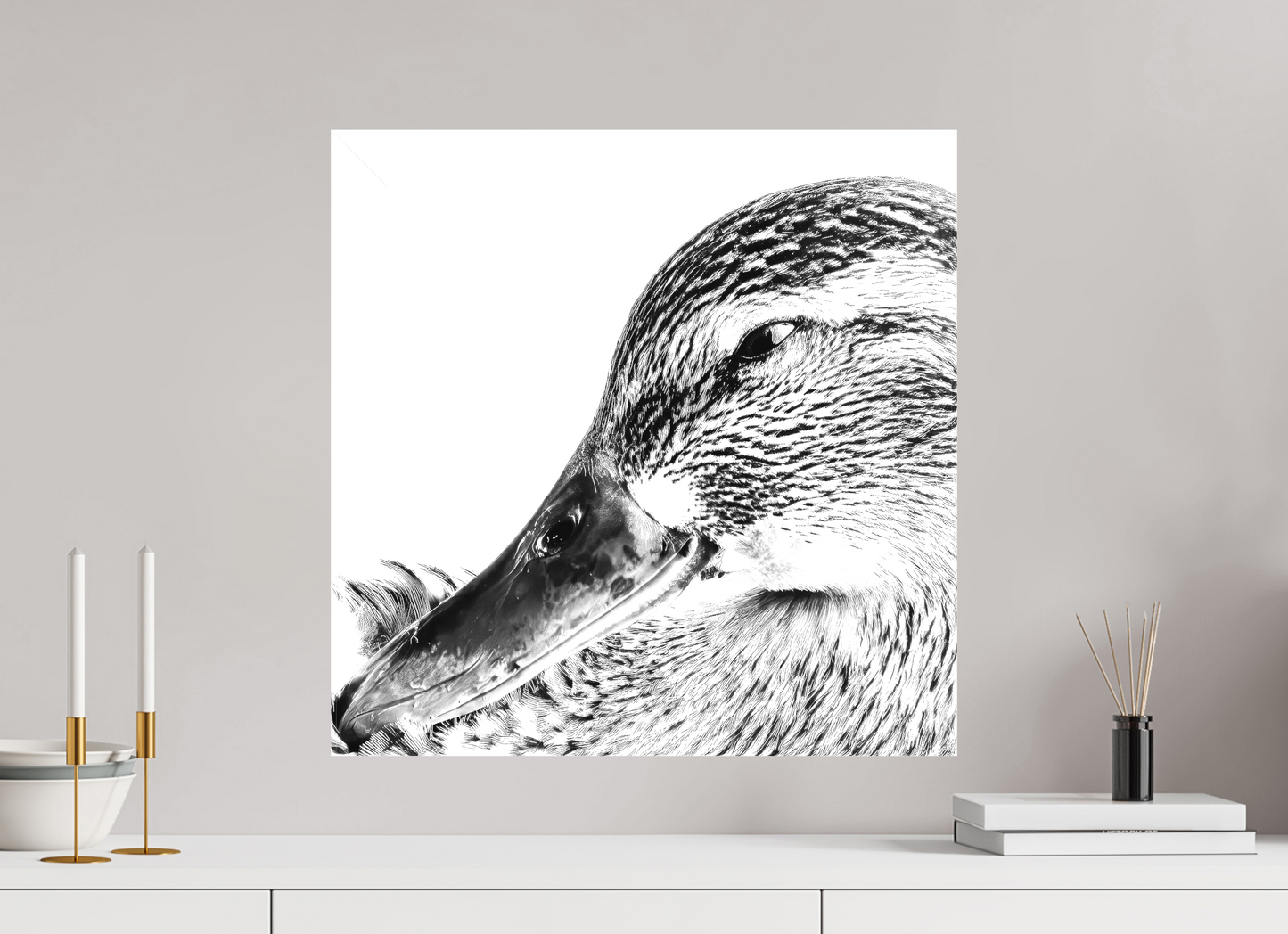 Duck