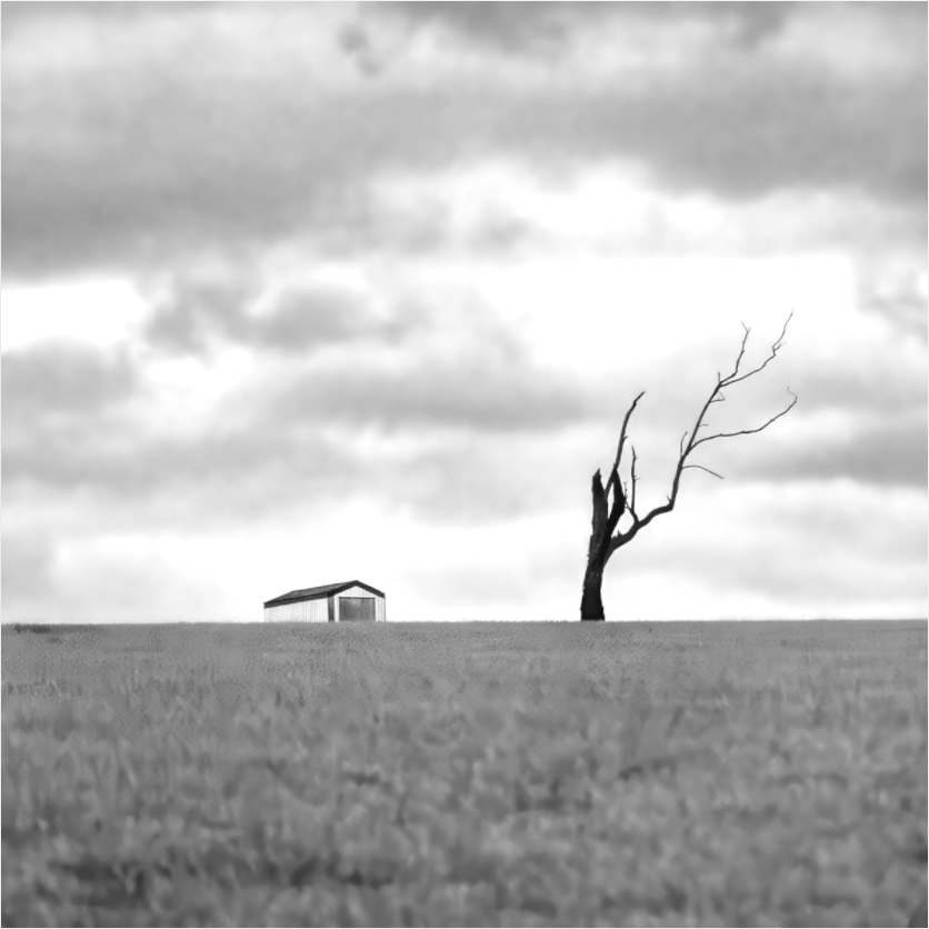 Black and white photograph of a windswept field with a distant barn—minimalist landscape inviting quiet reflection and visual clarity.
