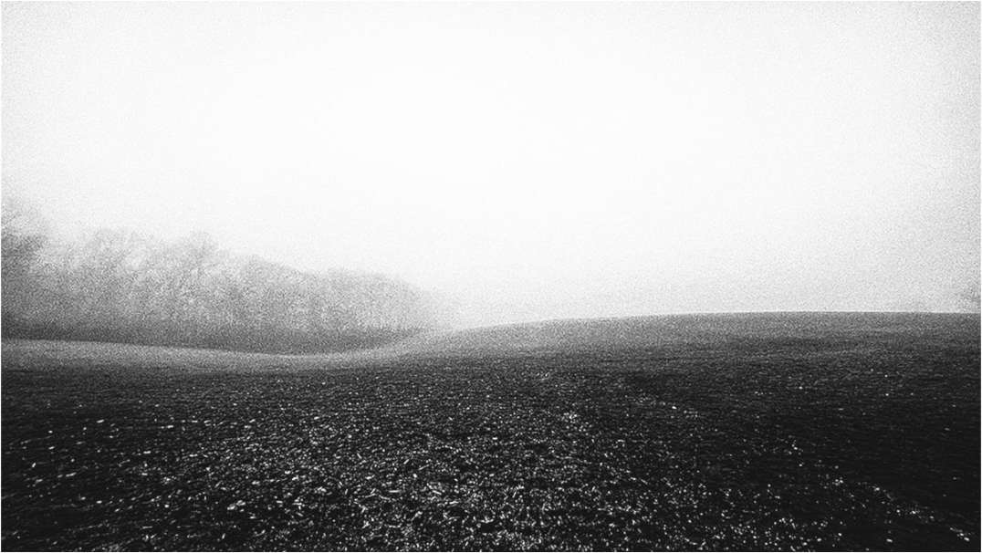 Black and white fine art photograph of a mist-covered field—low horizon and fog blend into sky, creating a minimalist and atmospheric landscape.
